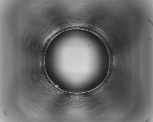 X0000102311165200807251432