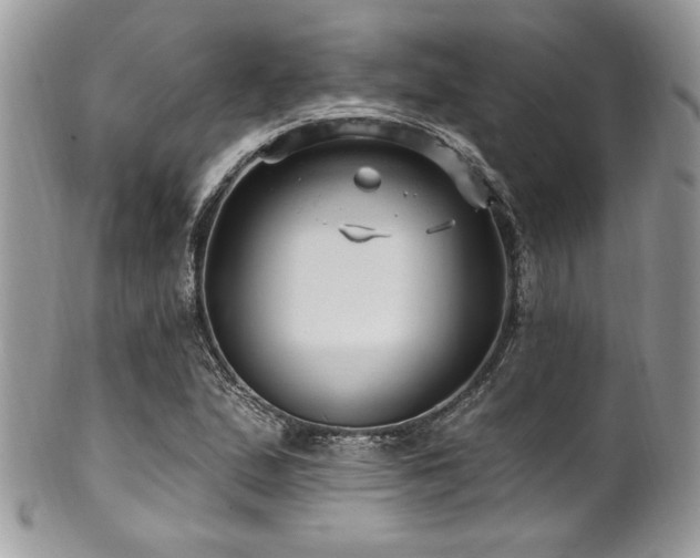 X0000102311167200807251432