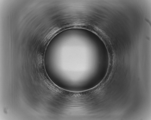 X0000102311169200807251432
