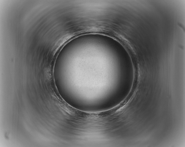 X0000102311170200807251432