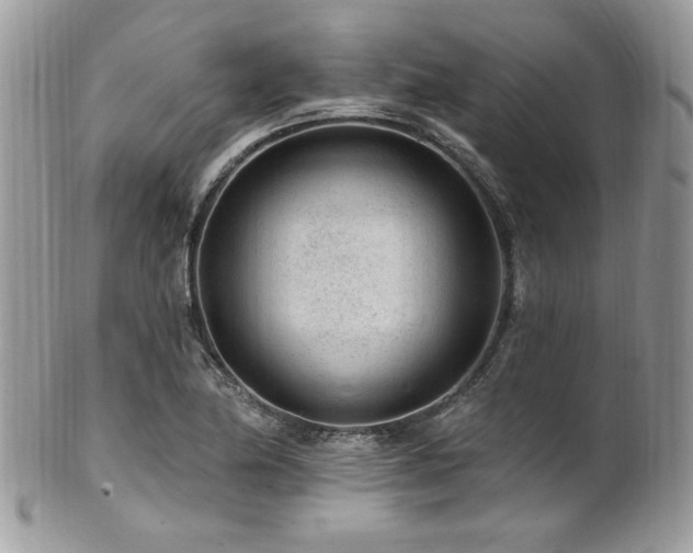 X0000102311174200807251432