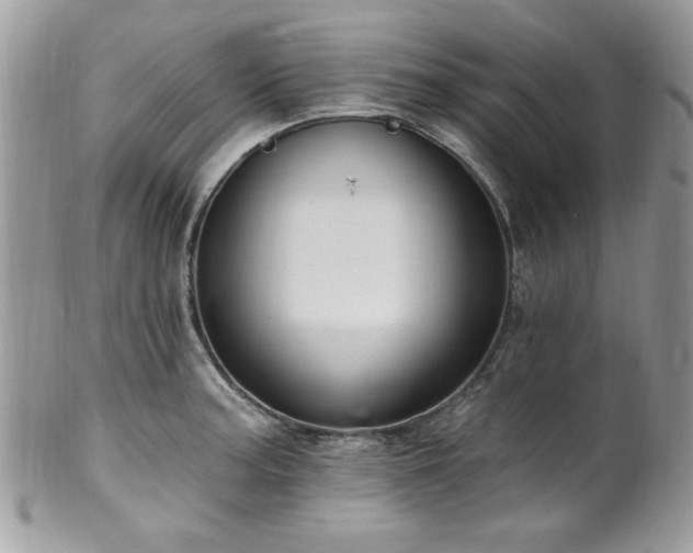 X0000102311187200807251432