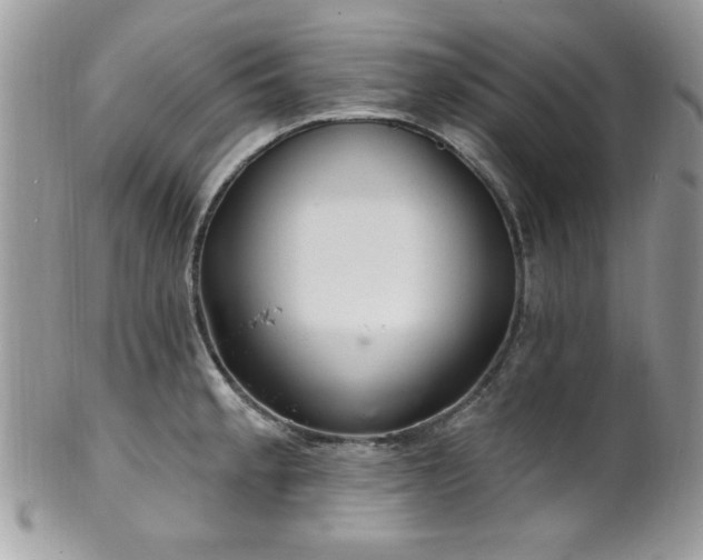 X0000102311189200807251432