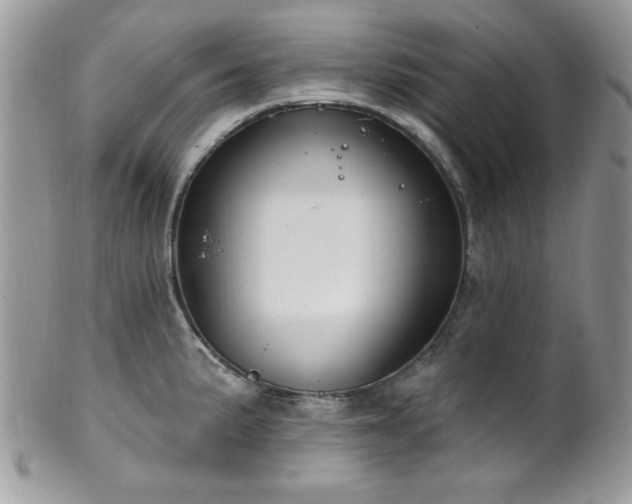 X0000102311191200807251432
