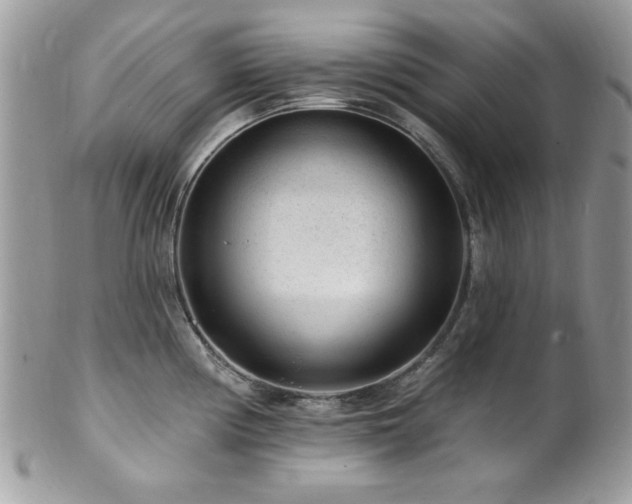 X0000102311194200807251432