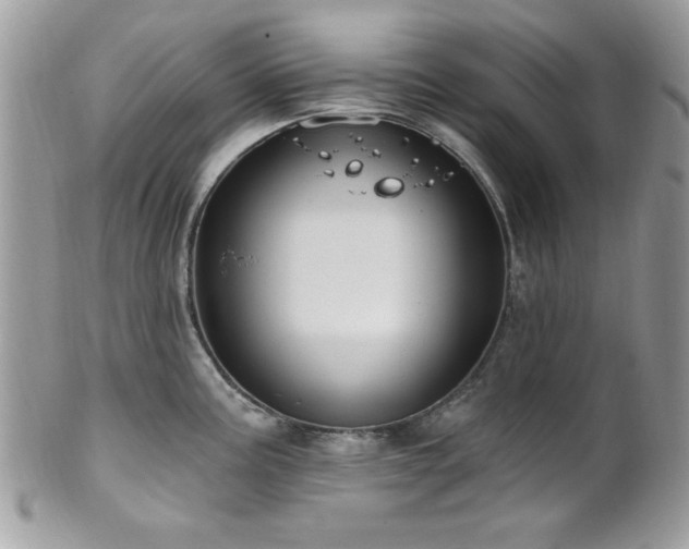 X0000102311195200807251432
