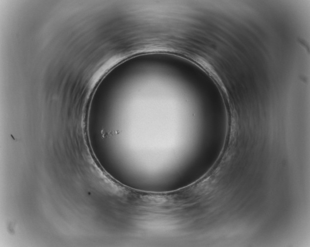 X0000102311197200807251432
