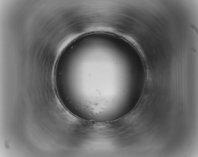 X0000102311199200807251432