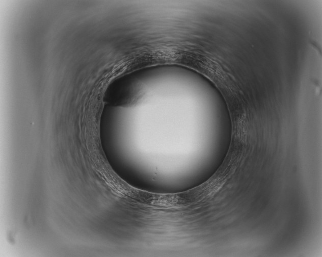 X0000102311201200807251431