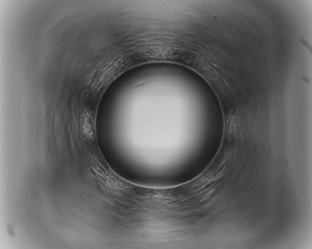 X0000102311202200807251431