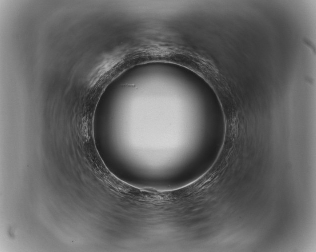 X0000102311205200807251431