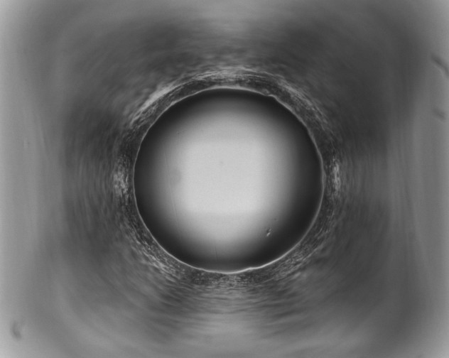 X0000102311206200807251431