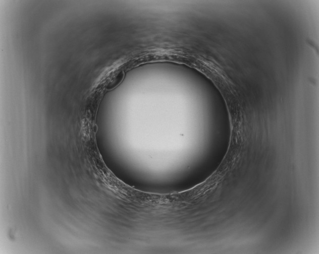 X0000102311207200807251431
