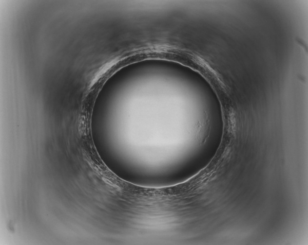 X0000102311208200807251431