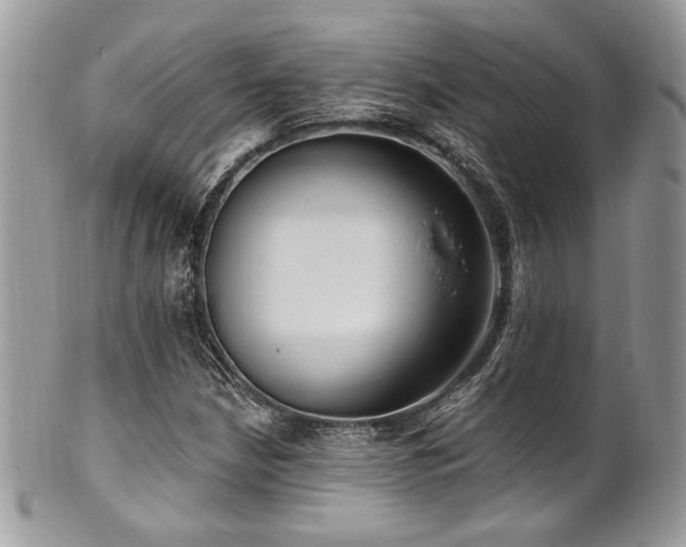 X0000102311210200807251431