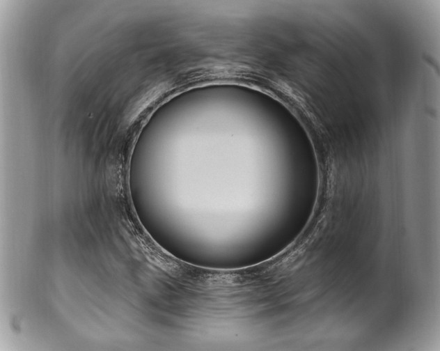 X0000102311211200807251431