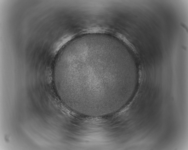 X0000102311213200807251432
