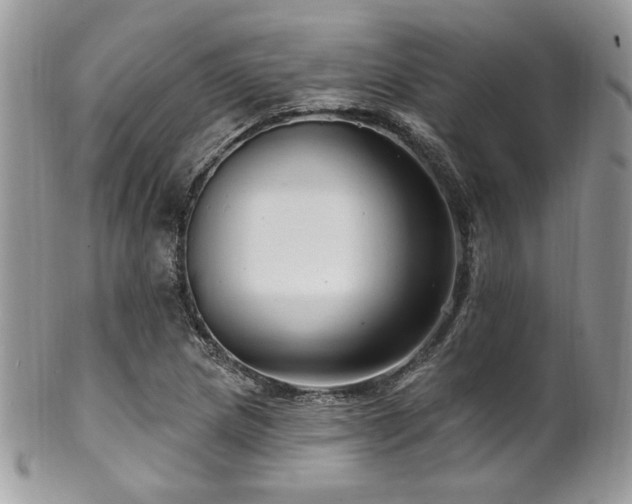 X0000102311217200807251432