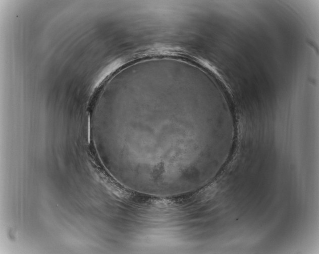 X0000102311219200807251432