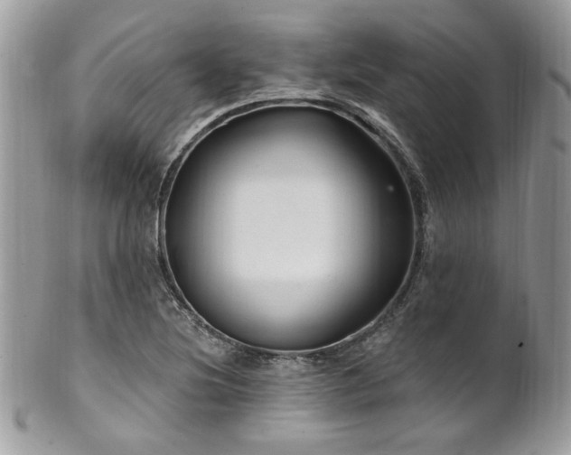 X0000102311220200807251432