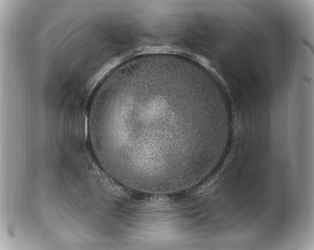 X0000102311221200807251432