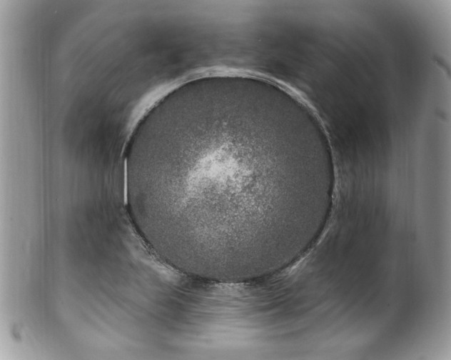 X0000102311223200807251432