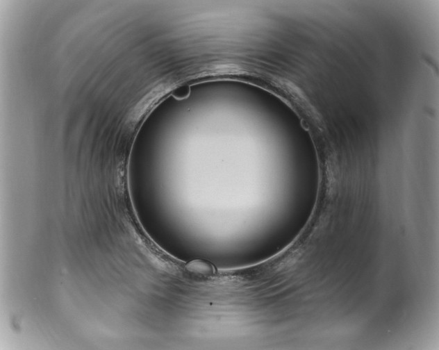 X0000102311225200807251432
