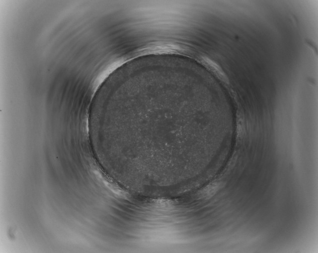 X0000102311226200807251432