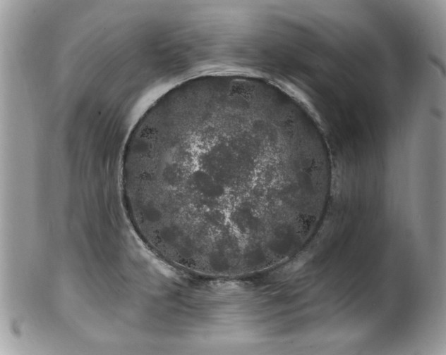 X0000102311231200807251432