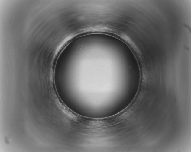 X0000102311232200807251432