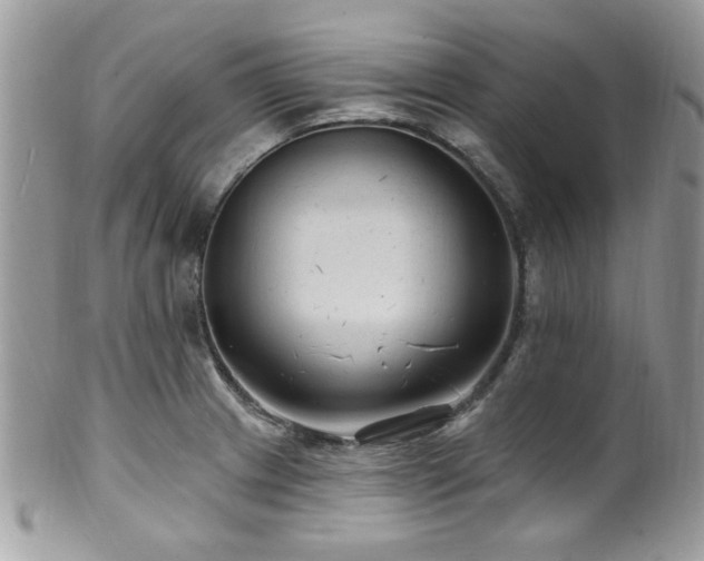 X0000102311233200807251432