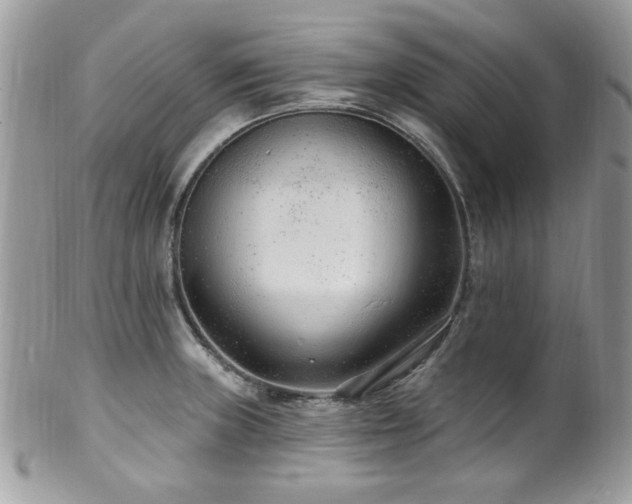 X0000102311235200807251432