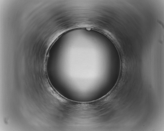X0000102311236200807251432