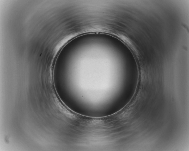 X0000102311238200807251432