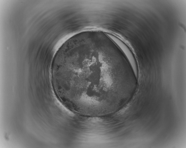 X0000102311239200807251432