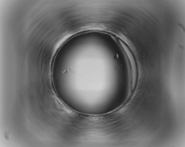X0000102311240200807251432