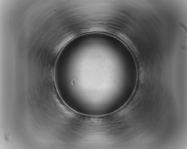 X0000102311241200807251432