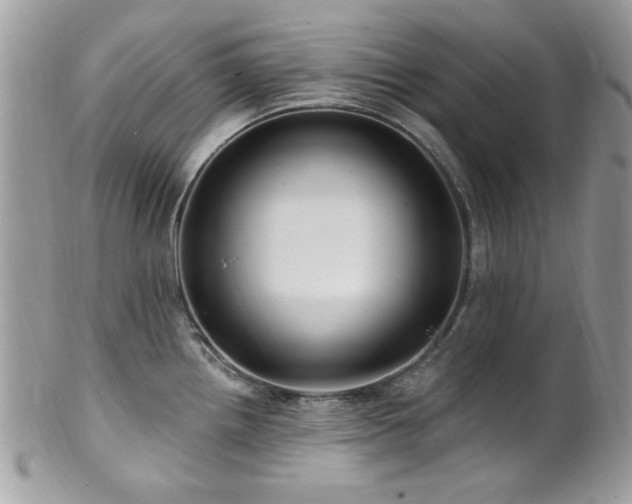 X0000102311242200807251432