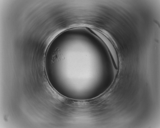 X0000102311244200807251432