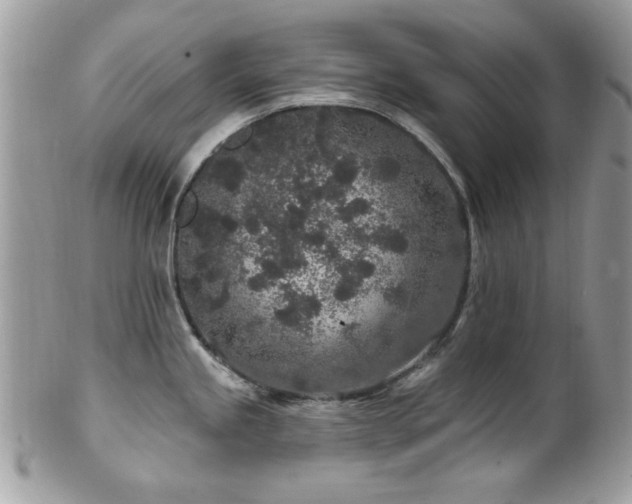 X0000102311245200807251432