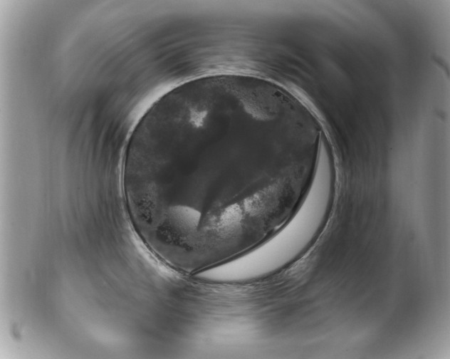 X0000102311246200807251432