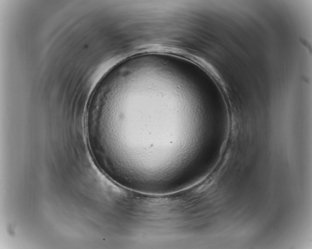 X0000102311247200807251432