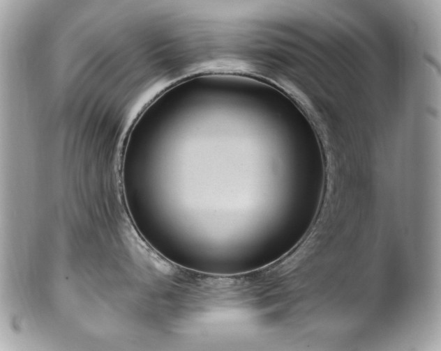 X0000102311248200807251432