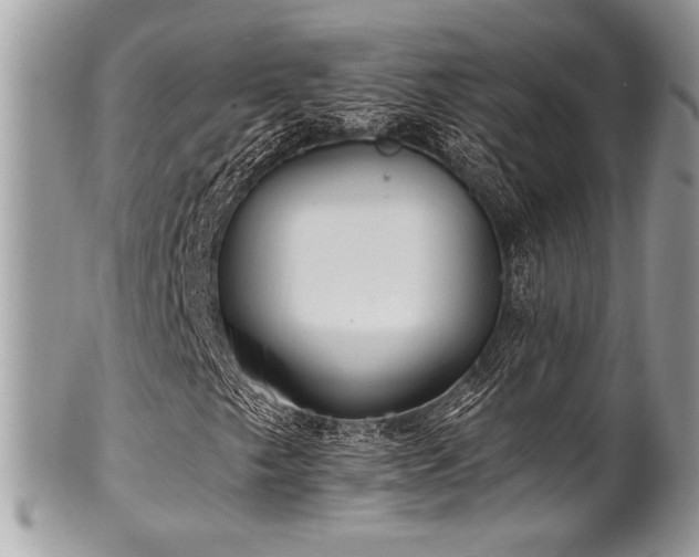 X0000102311249200807251431