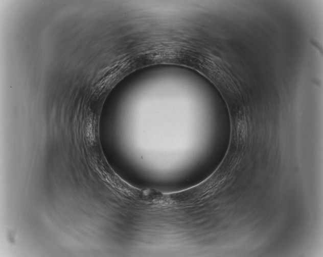 X0000102311250200807251431