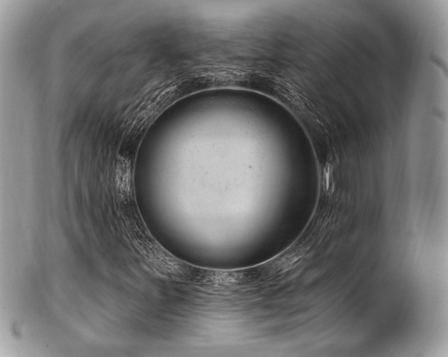 X0000102311251200807251431