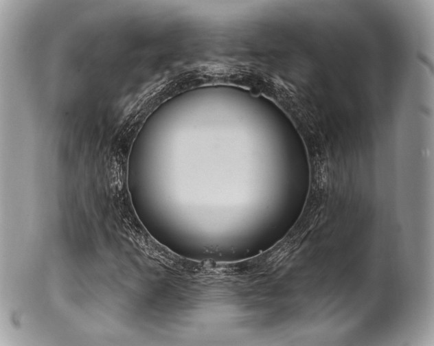 X0000102311253200807251431