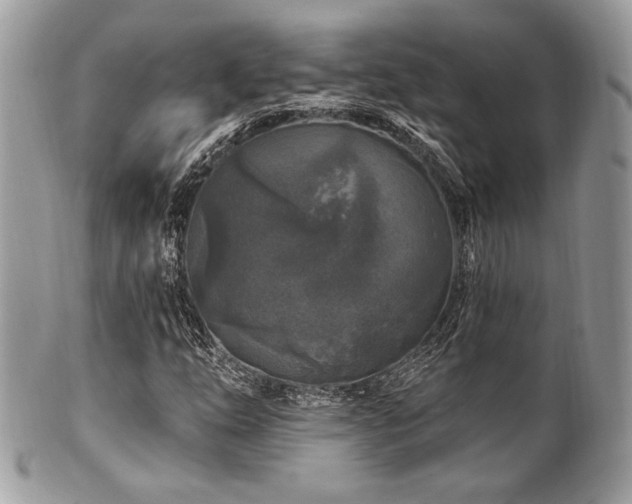 X0000102311254200807251431