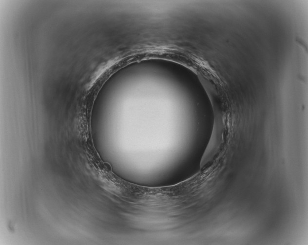 X0000102311256200807251431