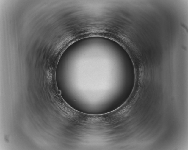 X0000102311257200807251431
